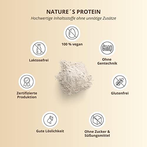 Nutri + Protein Shake Vanille 500 g - natürliches Proteinpulver ohne Süßungsmittel - 83,1% Eiweiß - pflanzliches Eiweißpulver vegan & glutenfrei