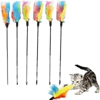 EIHI 6 Stück Federstab Interaktives Spielzeug Mit Federn Für Kätzchen