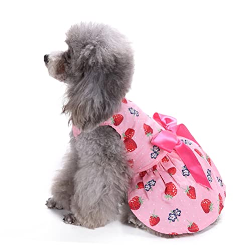 Angoily Sommerkleid Für Hunde Ärmellos Erdbeer Motiv Welpenrock Mit Schleife Atmungsaktive Haustierkleidung Alltag Urlaub Klein Bis Mittelgroß