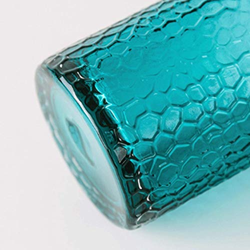Vases transparents fleurs hydro pour une décoration de salon zen - 7
