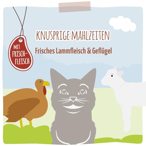 MjAMjAM Premium Trockenfutter für Katzen Knusprige Mahlzeiten Frisches Lammfleisch & Geflügel, 1er Pack (1×1,5kg), getreidefrei-5