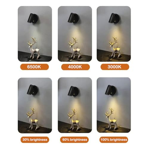 Image of Spot Lights Indoor, Rechargeable Plant Spotlight Indoor, 360 Rotate Wireless LED Uplighting, Battery Powered Ceiling Spotlight for Artwork Painting Tree Plant Picture Lights Wall Light (Black)