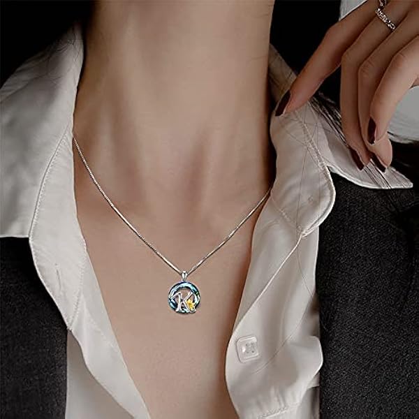 Midir&Etain solroshalsband, initial, 925 sterlingsilver, A-Z 26 bokstäver, hänge, namn, halsband, kristall, alfabet, personliga smycken, gåvor för kvinnor, tonårsflickor