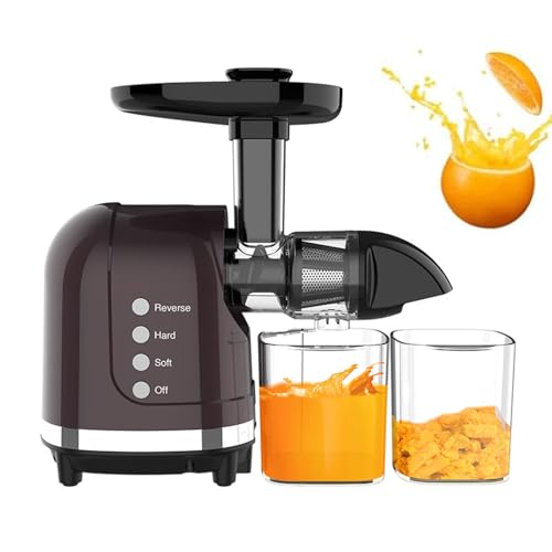 oiakus Slow Masticating Juicer, 200W Electric Cold Press Centrifugal Juicer, Pomace Separation Juicer Machines with Reverse Function, Easy to Clean, Fruit Vegetables Juicer
