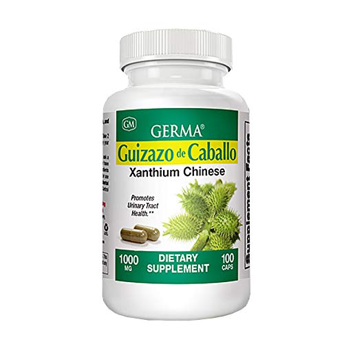 Germa Chanca Piedra (Phyllanthus Niruri)