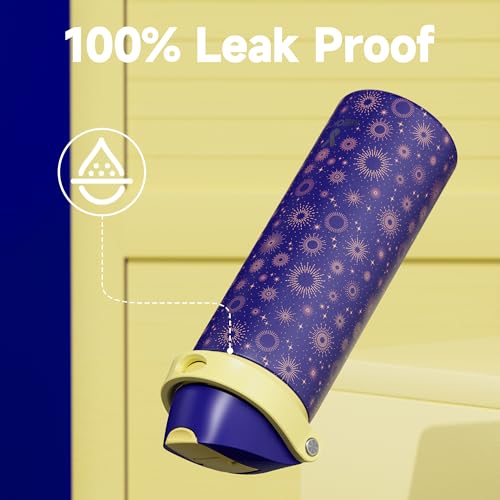 Image of 24 oz Insulated Water Bottle for Men: Meoky Stainless Steel Water Bottle with 2-in-1 Straw and Spout Lid - Leak Proof, Cold for 24 Hours, Fits in Car Cup Holder, BPA-Free for Sports Travel, Destiny