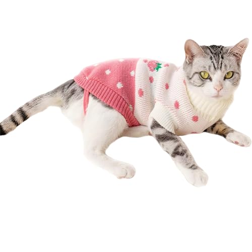 pets best sweater for cats