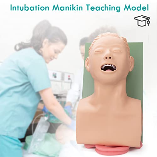 Image of Intubation Manikin Teaching Model, 110V Adult Airway Management Trainer Tracheal Intubation Training Simulator Model, Science Lab Education Training