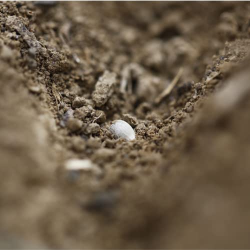 Der Hanfbayer® | Bio Hanfmehl | Backen | Naturbelassen ohne Zusatzstoffe | Made in Germany | Kohlenhydratarm | Proteinquelle - 420g