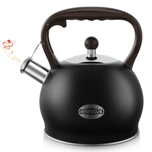 Top 10 Best Teapot For Stove Steel Reviews & Buying Guide Katynel