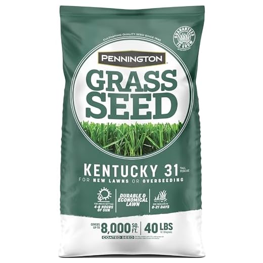 Pennington Kentucky 31 Tall Fescue 40 lbs