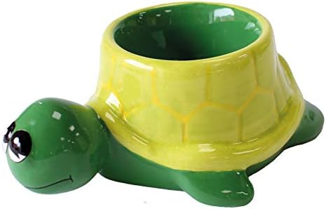 Sea Turtle Egg Cup from Deluxebase. Animal Shaped Ceramic Holder for Boiled Eggs, Cute Novelty Decorative Table Gifts and Kitchen Accessories.