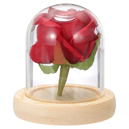 QUARKZMAN Campana De Cristal para Exhibición