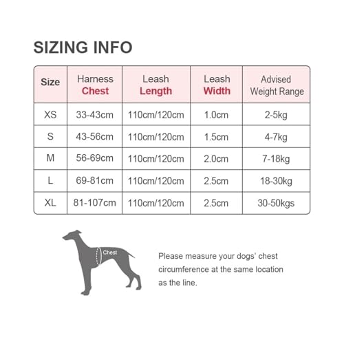 Adjustable and Reflective Pet Harness+ Leash Set