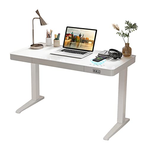 TAMITO Bureau Assis Debout Electrique 120x60cm/2 Chargeur USB, 1 Type C/1 Chargeur sans Fil/Plateau en Verre trempé/Dual monteurs/Max Charge 120kg/BUREAU A Hauteur RÉGLABLE Domicile