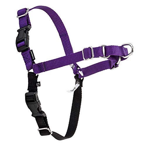 [ �y�b�g�Z�[�t ] Petsafe ���p �n�[�l�X �C�[�W�[�E�H�[�N ���^�� M �T�C�Y Easy Walk Harness M EWH-HC-M-DPP �f�B�[�v�p�[�v��/�u���b�N Deep Purple �U�� �g���[�j���O �y�b�g �� [���s�A���i]
