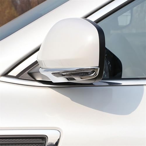 Couverture rétroviseur Koleos masquer rayures coque autocollante Samsung QM6 2016-2020 - 5