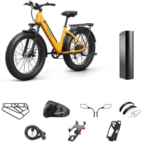 Electric Bike for Adults 960W with Extra Battery, 48V 15AH