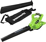 Greenworks GD40BV Soplador Aspirador de Hojas a Batería con Motor sin Escobillas, 280 km/h, 9,63 m³/min, Bolsa Recogedora de 45L SIN Batería de 40V y Cargador, Garantía de 3 Años