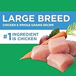 IAMS Adult High Protein Large Breed Dry Dog Food with Real Chicken, 30 lb. Bag - Image 4