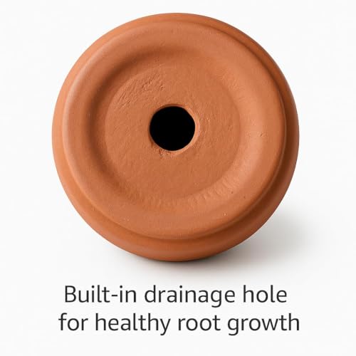 Image of Terracotta Planter - Premium Glass Coated Peacock Design Planters for Home Decor | Artistic Flower Pots for Garden & Indoor Plant Pot (Beige, Medium)