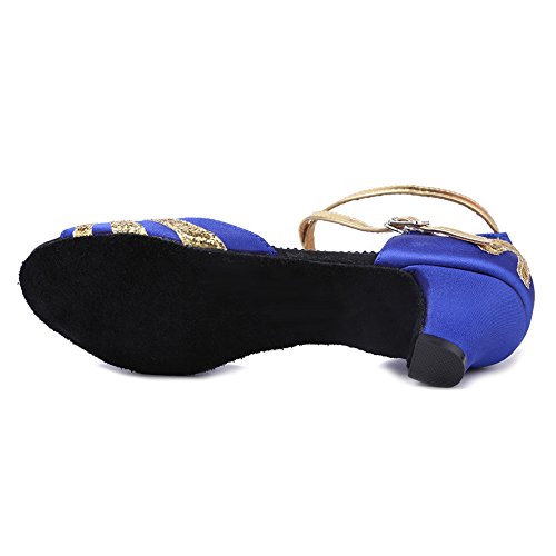 HIPPOSEUS Girls' and Women's Latin Dance Shoes Satin Low Heel Ballroom Salsa Dancing Shoes,Model WZJ4