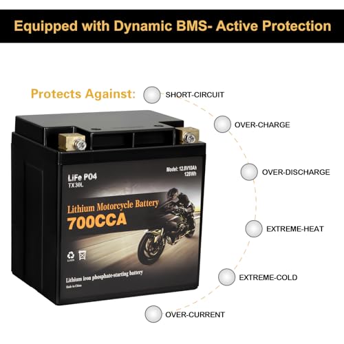 Image of Autocessking YTX30L-BS Lithium Battery, 700A LiFePO4 Motorcycle Battery, 12V 10AH ATV, UTV, Jet Ski, Scooter, Lawn Mower, Tractor, Generator, Built-in Smart BMS