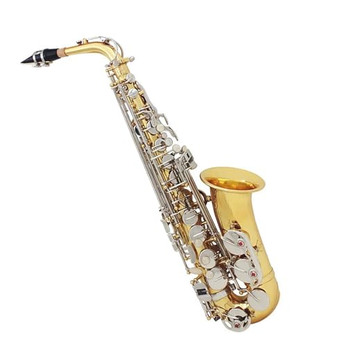 S TbNX Eb AgTbNXdCjS[h E tbgTbNX~[WJ؊Ǌy탌U[P[X}EXs[X[h