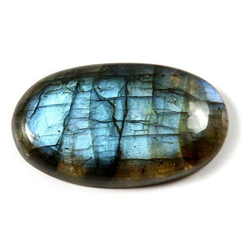 DENMOUS ���u���h���C�g �u���[ �t���b�V���O �V�R��� �ȉ~�` ���[�X �J�{�V���� 38.4�J���b�g Ju65-B07XP8RSGG