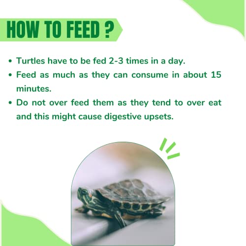 Image of Taiyo Pluss Discovery Turtle Food - 1 kg Refill Pouch + 100 g Pouch Free (Improved Formula) | Complete Daily Nutrition Sticks with Spirulina & Vitamin C | Supports Shell Strength & Growth