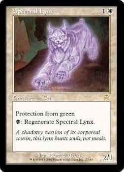 41TjAPDTHdL._AC_UF350,