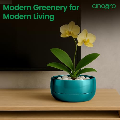 Image of CINAGRO Metal Planter Pot for Indoor Plants, Round Decorative Flower Pot, Rust-Resistant, Modern Plant Holder for Home, Balcony, Office (13.97 x 7.62 cm, Pulse Nest - Teal)