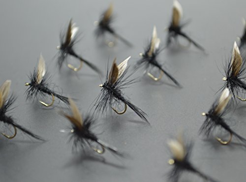 Creek Edge (�N���[�N�G�b�W�j �����t���C �u���b�N�i�b�g 12�� ��12 �o�[�u���X