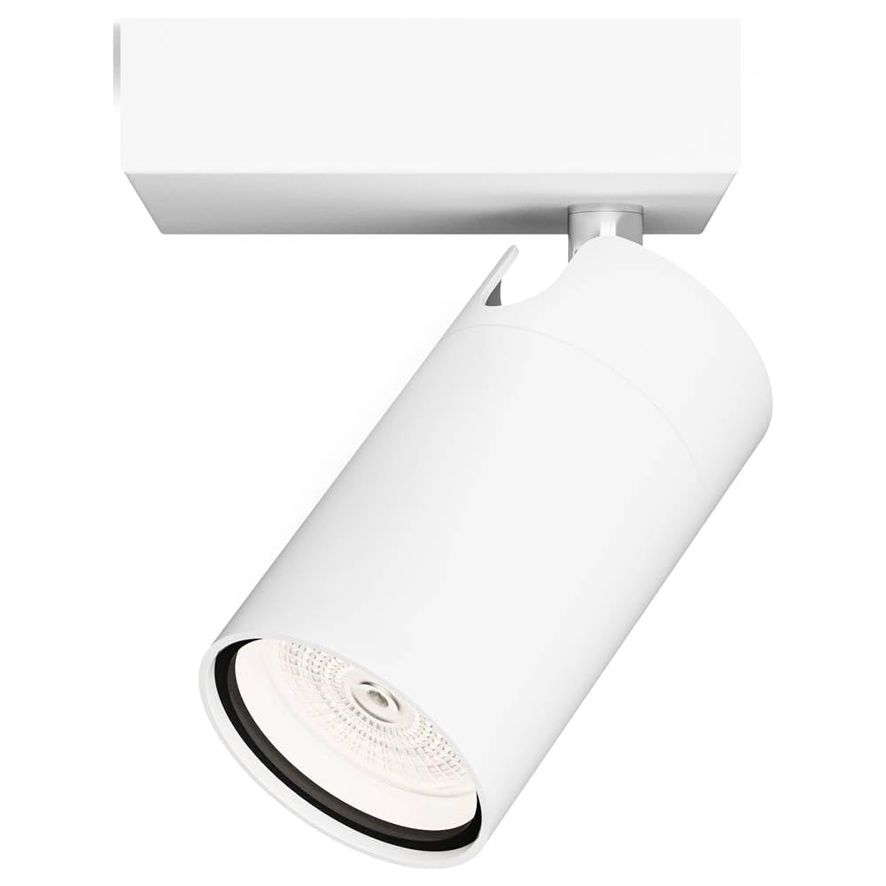 PHILIPS Idris Spot, 1 faretto, 5W, attacco GU10, lampadina non inclusa, Grado di Protezione IP44, resistente all'acqua, Bianco
