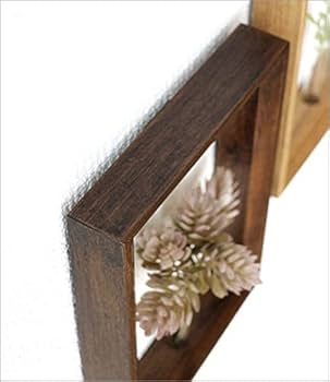 Amazon.co.jp: フラワーフレーム おしゃれ 壁掛け 2L 一輪挿し