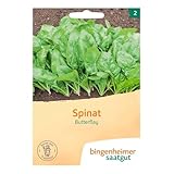 Bingenheimer Saatgut