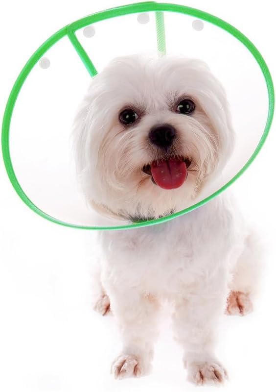 Image of Pets Empire Pet Recovery Collar for Dogs & Cats | Adjustable Elizabethan Cone | Protective E-Collar for Wound Healing, Grooming & Post-Surgery Care Green (M)