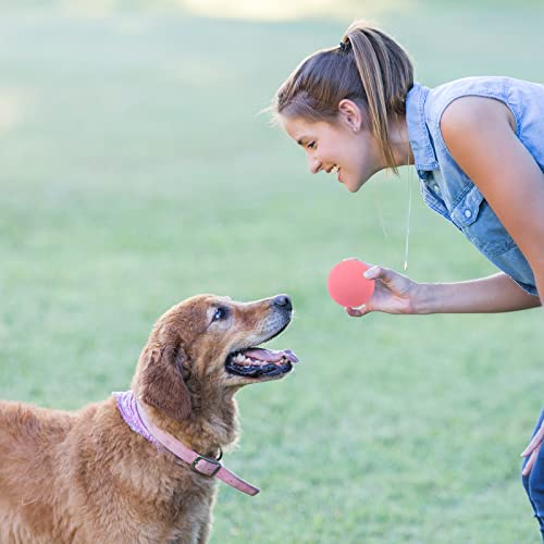 3Stück Hundeball Spielzeug 4cm Gummi Hundespielzeug Ball Unzerstörbares Hundespielzeug Kauspielzeug Elastische Toss Ballspielzeug für Hund Welpen Katzen Interaktives Hundespielzeug für Training