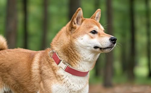 Collar para Perro de Cuero Clásico Suave XS Rojo miniatura 4