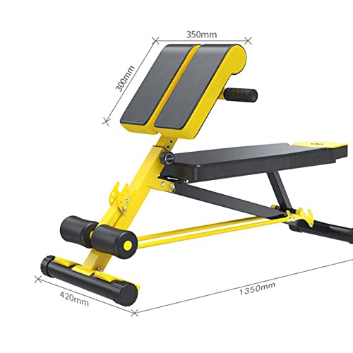 Commercial Roman Chair, Waist And Back Abdominal Muscle Trainer, Sit Up Machine, Roman Chair Back Hyperextension Bench Machine, Load-Bearing 250Kg (A) #TOP6