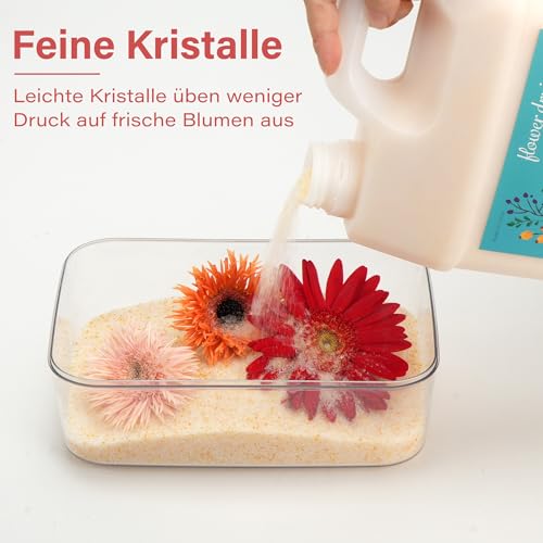 LotFancy Silica Gel zum Blumen Trocknen 6 LBS (2,72KG), Silicagel mit Indikator, Wiederwendbares Trockenmittel, Feine Kristalle  1 mm für Blumen