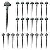 ifundom Hufeisennägel aus Eisen 50 Stück Robustes Pferdezubehör für Reitsport Pferdepflege und Hufschuhe Ersatz