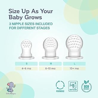 Fruit Feeder Pacifiers