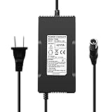 42V 5A Battery Charger for Max 36V Lithium Battery Pack with 8mm Connector