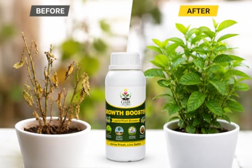 Image of GnB Seaweed Extract Fertilizer 500 ml, 100% Organic | Growth Booster | Strong Roots & Healthy Plants | Bio Fertilizer for Flowers, Fruits & Garden | Enhances Growth of all plants | Mix in Water & Use