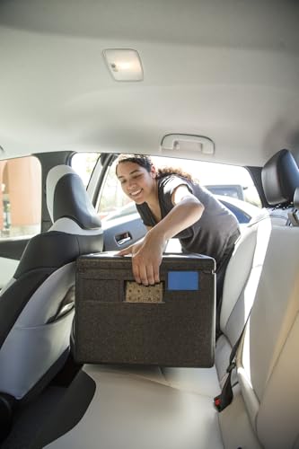 Cambro EPP180110 Cam GoBox, Top Loader, 1/1 GN Pan, 20 cm, 46 L, Black