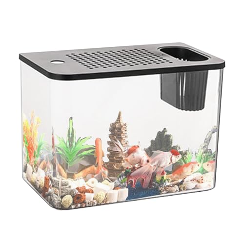 Generic - Tisch-Aquarium, Transparentes Fisch-Aquarium | Aquarium-Fischschalen, Kompaktes Fischaquarium, Kleine Aquarien Für Kleine Fische, Fischzucht, Kinder, Erwachsene, Innenbereich