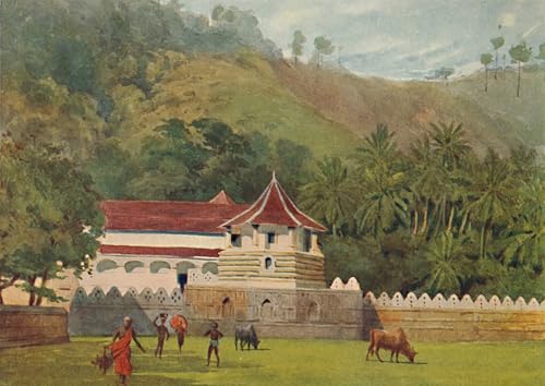 Peinture Poster Kandy Graffiti d'Alexander Murray, Qualité Art