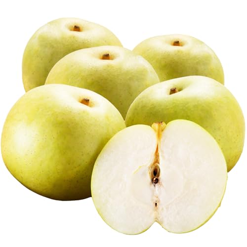 京都 京丹後産 20世紀梨(秀品) 5kg(10〜16玉)(2026年8月下旬〜発送)贈答 [先行予約]農家直送