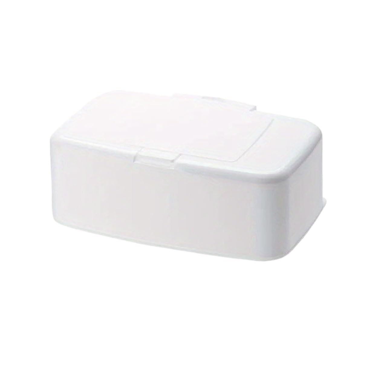 Caja Pañuelos Dispensador portátil de toallitas húmedas y Caja Almacenamiento hisopos